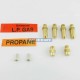 231567 - GAS CONVERSION KIT C6 LPG/PROP AU XP